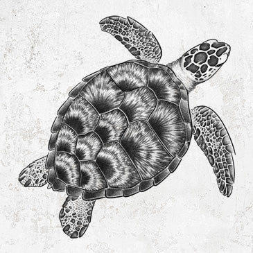 Hand-drawn illustration of a loggerhead sea turtle swimming on graphic tees, shirts, and hoodies.