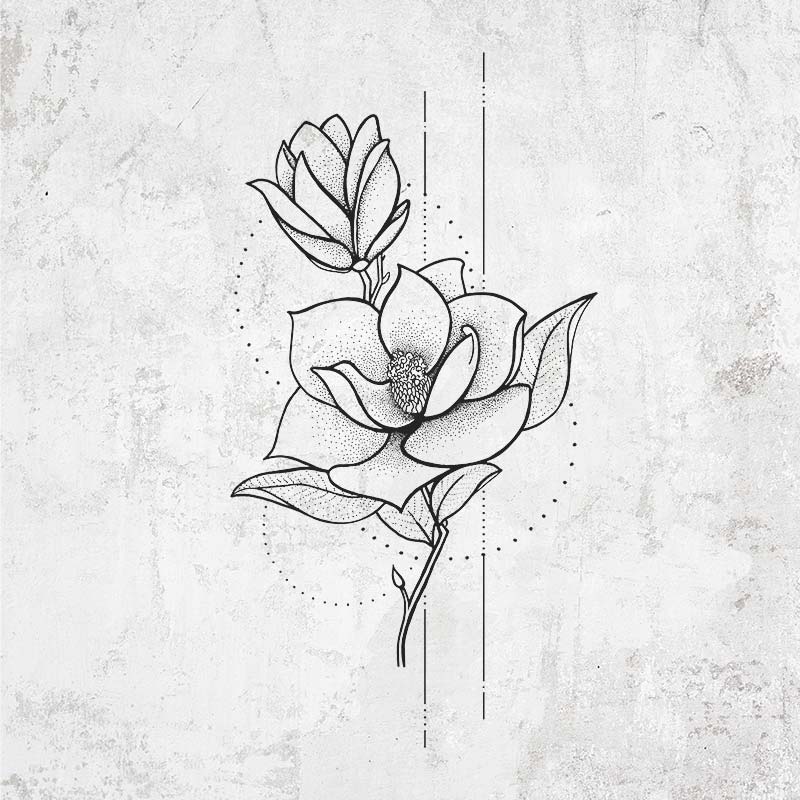 Southern Magnolia Stem