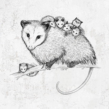 Illustration of Mama Opossum with Babies on Apparel