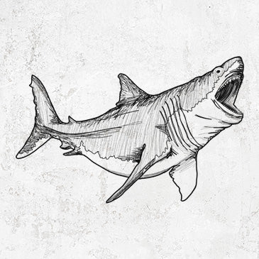 Megalodon drawing on apparel