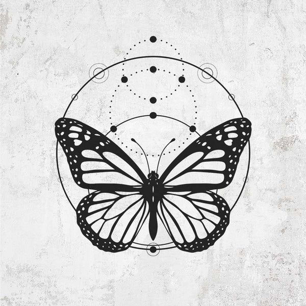 Monarch Symmetry