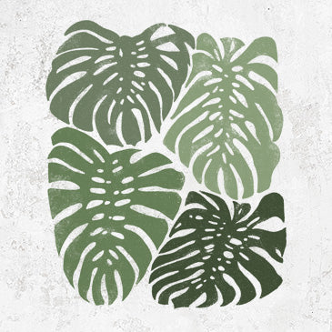 Monstera Vibes