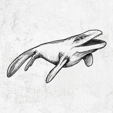 Mosasaur illustration on clothing and gifts