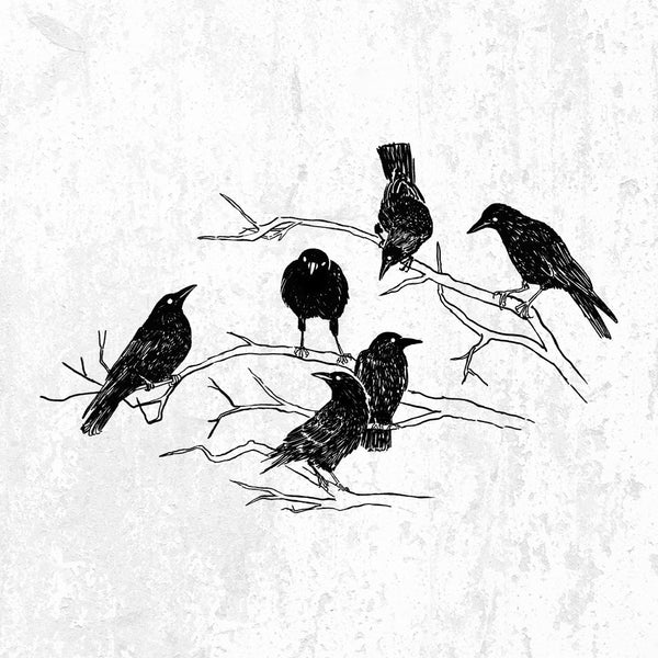 Murder of Crows