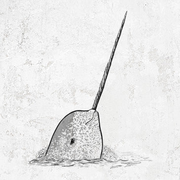 Narwhal Tees and Hoodies | BeCause Tees