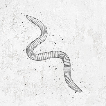 Common Earthworm Inspired Tees, Hoodies and Accessories