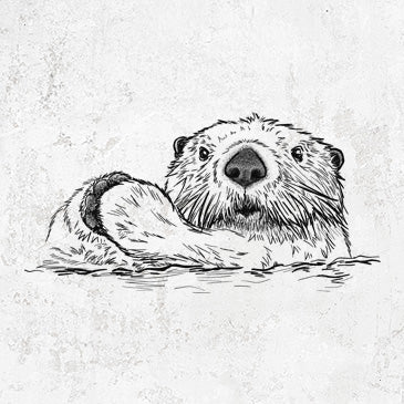 Cute Sea Otter Shirts and Hoodies - BeCause Tees