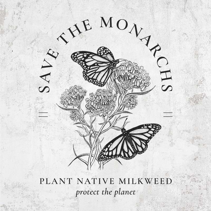 Save the Monarchs - Plant Native Milkweed - Protect the Planet