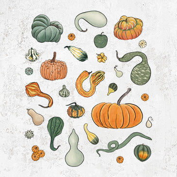 Pumpkin Patch Finds