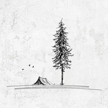 Pine Camp Vista