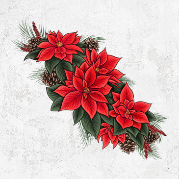 Winter Poinsettias - Euphorbia pulcherrima