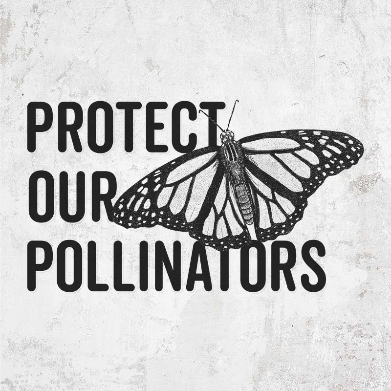 Protect Our Pollinators