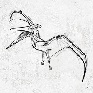Pteranodon illustration on apparel and gifts