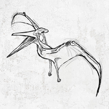 Pteranodon Longiceps