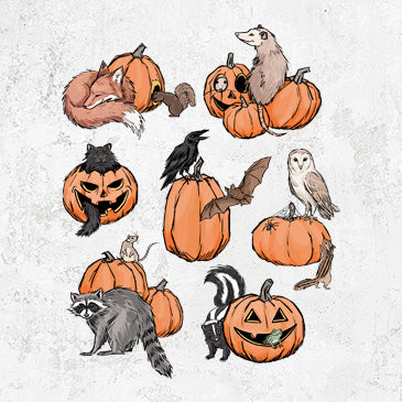 Woodland Pumpkin Patch Party
