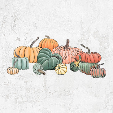 Pumpkin Harvest