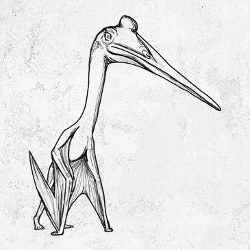 Quetzalcoatlus drawing on clothing and accessories