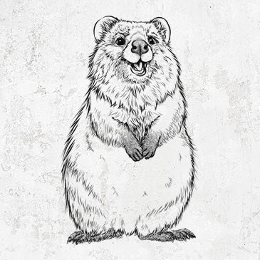 Quokka drawing on quokka clothing and gifts