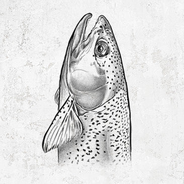 "Rainbow Trout Tees and Hoodies - Aquatic Life Inspired Apparel