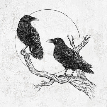 Midnight Ravens
