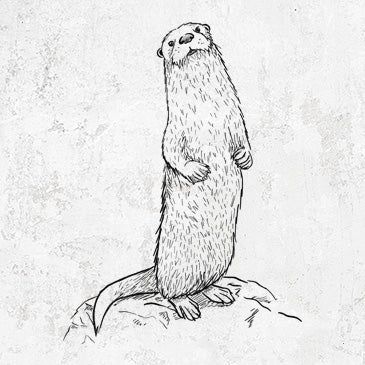 North American River Otter Playful Apparel and Accessories