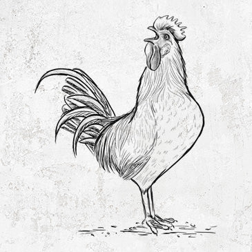 Crowing Rooster - Brown Leghorn Chicken