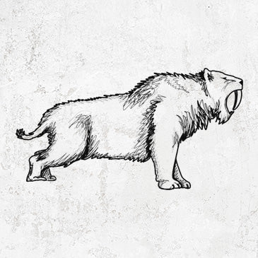 Saber-toothed Tiger illustration on shirts and gifts