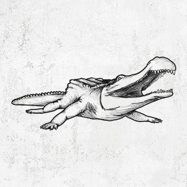 Sarcosuchus Imperator drawing on apparel