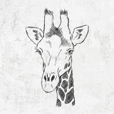 Southern Giraffe clothing and gifts drawing