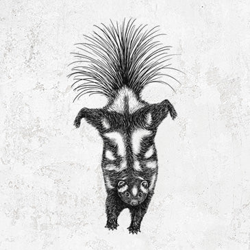 Eastern Spotted Skunk Tee - Unique Nature Design