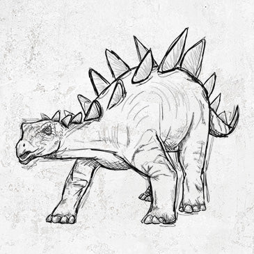 Stegosaurus drawing on apparel