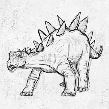 Stegosaurus Stenops