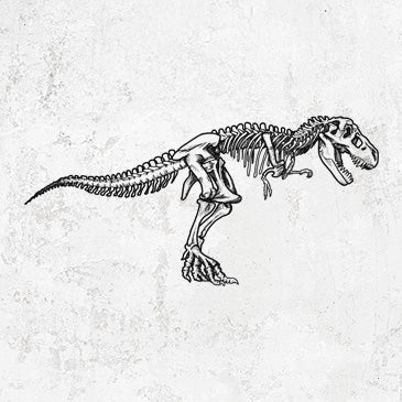 Tyrannosaurus Rex Skeleton detailed illustration on shirts and gifts