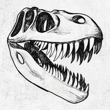 Tyrannosaurus Rex Skull