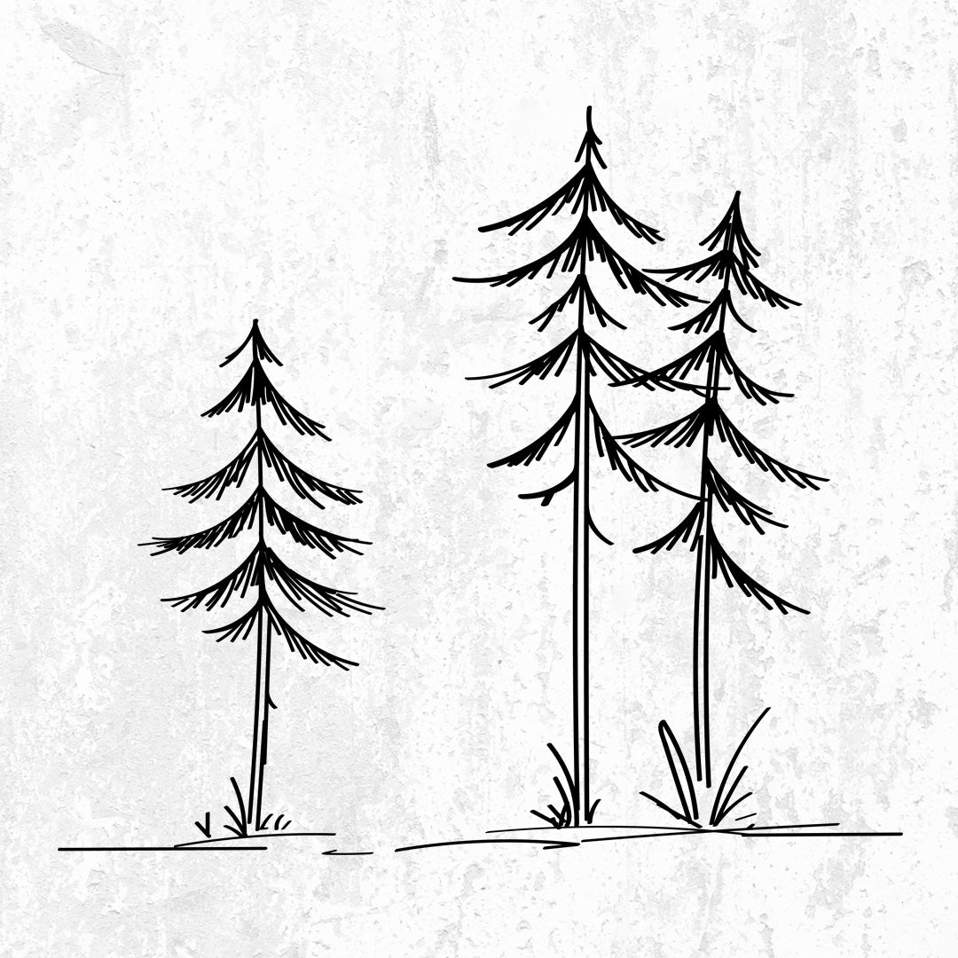 New Three Pines design, three hand-drawn pine trees with no lights