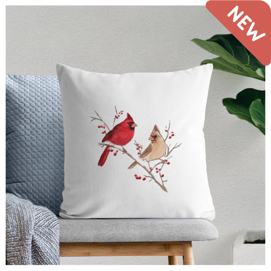 Throw Pillow Covers