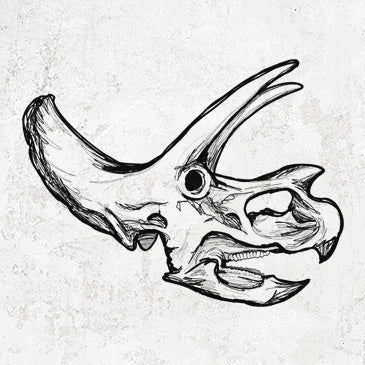 Triceratops Skull drawing on apparel