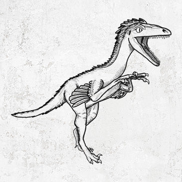 Troodon drawing on merch