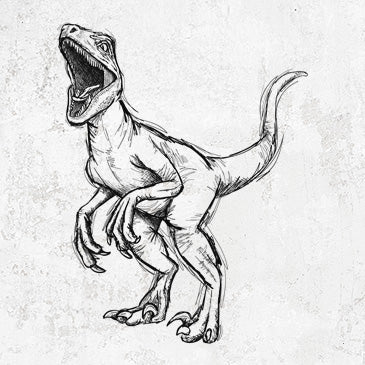 Velociraptor illustration on shirts, towels and gifts
