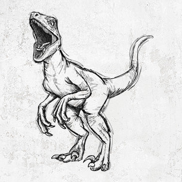 Velociraptor Mongoliensis