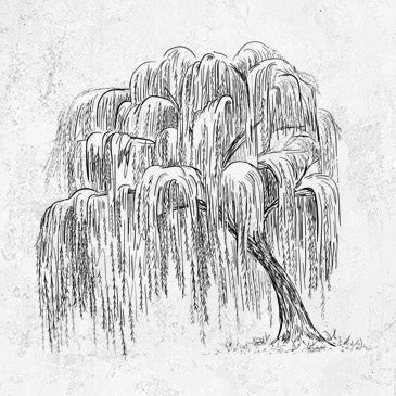 Weeping Willow Tree Shirts and Hoodies