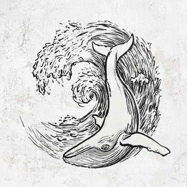 Hand-drawn Whale Wave Tees, Hoodies, and Gifts | Because Tees