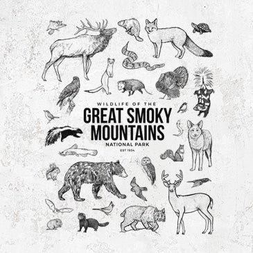 Great Smoky Mountains Wildlife Themed Apparel