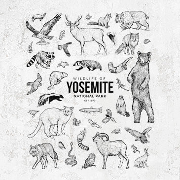 Yosemite Wildlife Inspired Fashion and Accessories