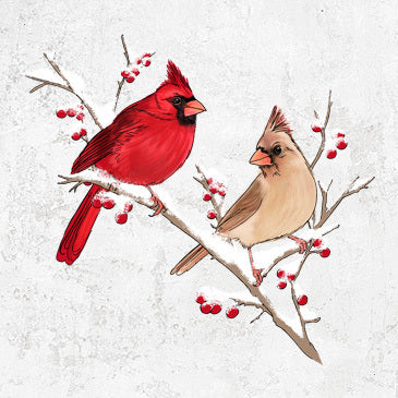 Winter Cardinals