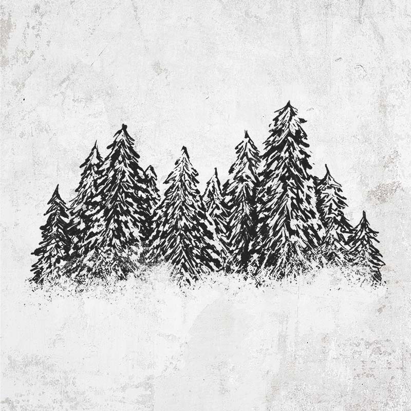 Winter Evergreens Hand-Drawn Tees and Gifts | Because Tees