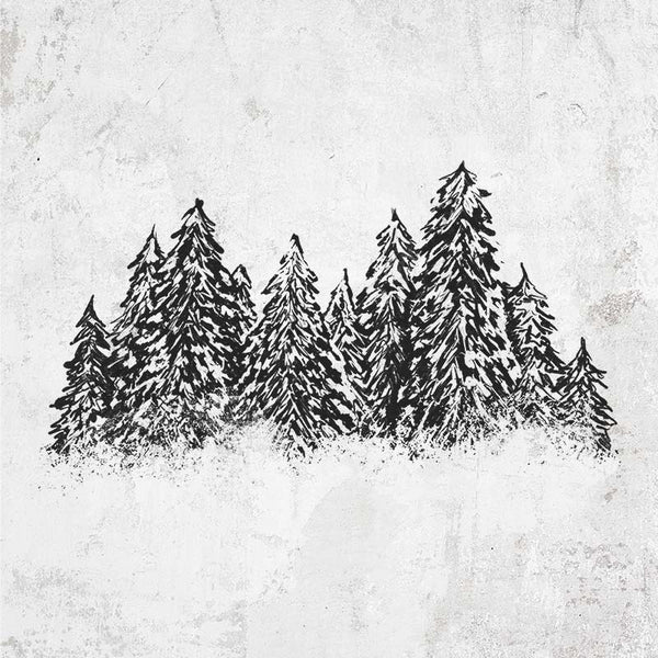 Winter Evergreens