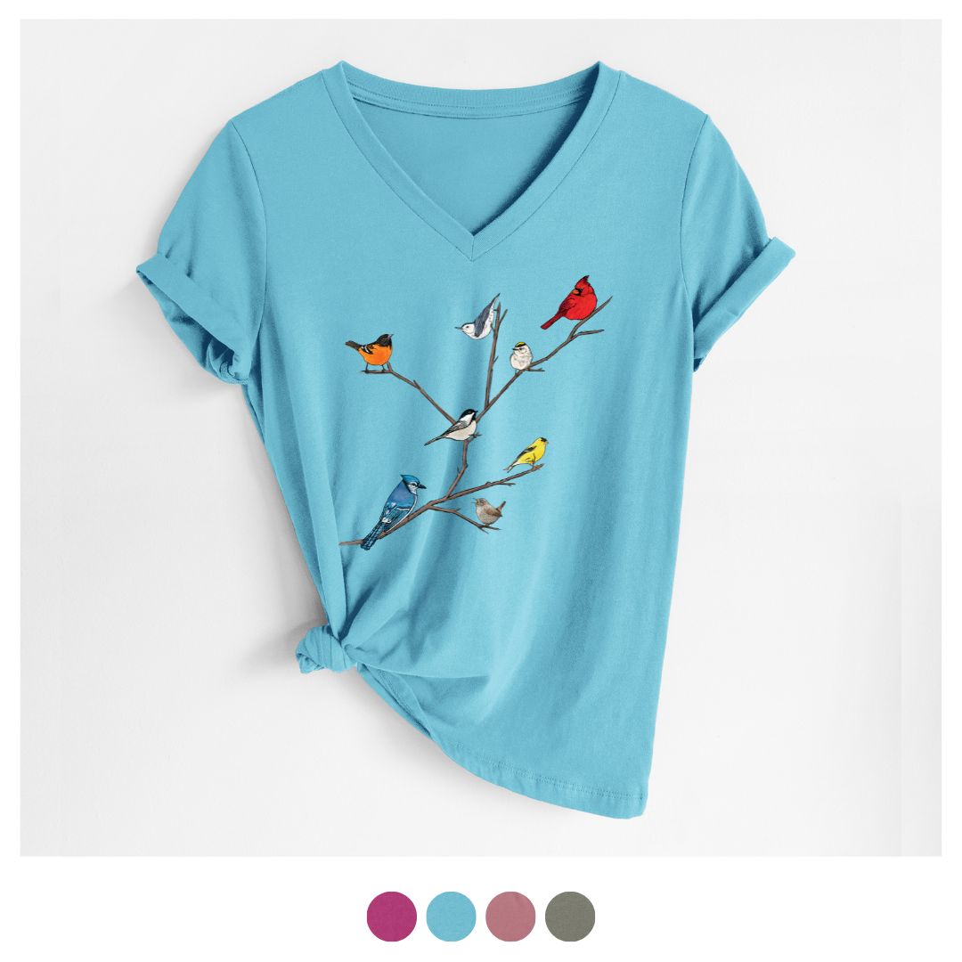 Women's Turquoise Lightweight Relaxed Fit 100% Cotton V-neck and 3 other colors