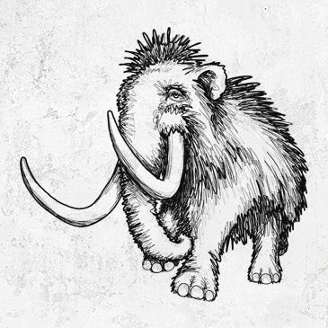 Woolly Mammoth drawing on clothing and gifts