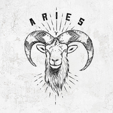 Aries Ram design on apparel from Because Tees